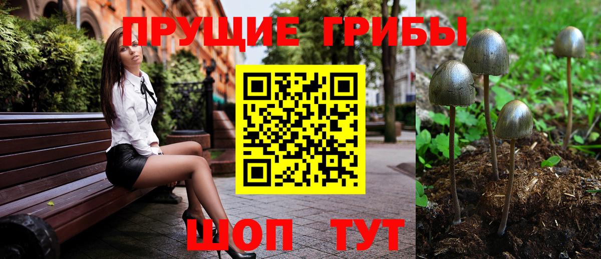 Галлюциногенные грибы Cubensis  Вход с VPN  купить наркотик  Нарткала 